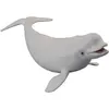 Image de Collecta Baleine Beluga