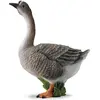 Image de Collecta Oie