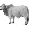 Image de Collecta Figurine de vache Braham (004-88580)