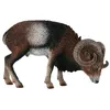 Image de Figurine Mouflon Figurines Collecta