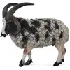 Image de Collecta Dickhornschaf-Figur (004-88728)
