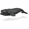 Image de Figurine Animal Marin (XL): Baleine franche Figurines Collecta