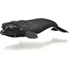 Image de Collecta Baleine