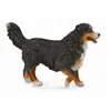 Image de Figurine Bouvier Bernois Figurines Collecta