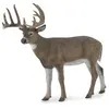 Image de Collecta Animaux sauvages Cerf de Virginie 11 cm