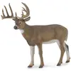 Image de Collecta Cerf de Weisswedel