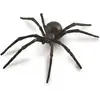 Image de Collecta VEUVE NOIRE (L)