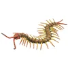 Image de Collecta animal de jeu mille-pattes junior 18 cm ABS marron