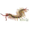Image de Collecta Figurine PARECZNIK - HUNDERTFüssLER - - 88885 - L