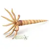 Image de Collecta Figurka FIGURKA ORTHOCERAS - - 88903 - L