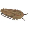 Image de Collecta animal de jeu préhistorique trilobites 9,5 cm ABS brun