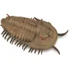 Image de Collecta FIGURINE REDLICHIA REX TRYLOBITE - - 88906 - L
