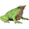 Image de Collecta Darwin Grenouille