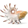 Image de Collecta Figure de Cooperoceras