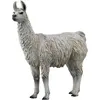 Image de Collecta Lama