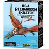 Image de 4M Kit d'excavation Pteranodon