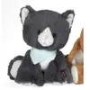 Image de Chamallow medium les amis chat