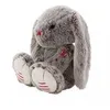 Image de Lapin gris prestige