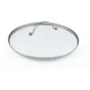 Image de Greenpan 20 Cm Tempered Glass With Stainless Steel Rim Univesal Glass Lid With Metal Handle