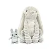 Image de Ptipotos - Lapin Maman et bebe gris clair