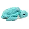 Image de Ptipotos Tortue Maman et bebe Aqua