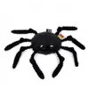 Image de Peluche Ptipotos - araignee noire