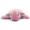 Image de ptipotos tortue geante rose