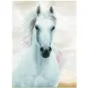Image de Diamond Dotz Diamond Painting cheval blanc