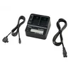Image de Chargeur Sony AC-VQV10