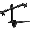 Image de iiyama DS1002D-B1 (Tables, 30", 10 kg), Support de moniteur, Noir