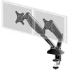 Image de IIYAMA Support de bureau flexible pour deux moniteurs