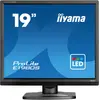 Image de iiyama ProLite E1980S-B1 (19"), Moniteur, Noir