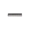 Image de Roland FP-10 - Piano numérique - noir - 88 touches