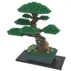 Image de Nanoblock-nanoblock-NB-039-Advanced Hobby Series Bonsai Matsu Jouet, NB-039, Multicolore