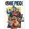 Image de One Piece - Puzzle One Piece 1000 pièces Into the Grandline