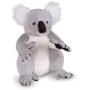 Image de Peluche Koala