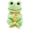 Image de Ty peluche grenouille Snapper