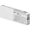 Image de Epson Singlepack Light Light Black T8049