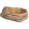 Image de Gamelle pour reptile Exo Terra Marron 28x23x7 cm 33/PT2804