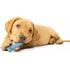 Image de Jouet pour chien Nylabone Puppy Teething Dental Chew - Blue Chicken XS Bleu XS 983239EU
