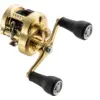 Image de Moulinet Casting Shimano Calcutta Conquest MD 301 XG : Frein - 8kg, Poids - 360g, Ratio - 7.4:1, Récupération - 101cm