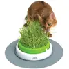 Image de Jardinière d'herbe Catit Vert 13x24x24,5 cm 33/43161W