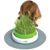 Image de Cat-it Jardin d'herbe à chat Senses 2.0
