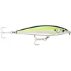 Image de Poisson Nageur Rapala X-Rap Magnum Prey 10 : couleur Rapala - PLD