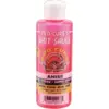 Image de Attractant Pro Cure Bait Sauce : Parfums - Anise