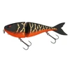 Image de Poisson Nageur Berkley Zilla Jointed Glider 180 : Coloris Berkley - Shadow Tiger