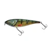 Image de Poisson Nageur Berkley Zilla Glider 160 : Coloris Berkley - Perch