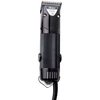 Image de Tondeuse sur secteur 1 vitesse Oster A5 Golden Noir TU 18555