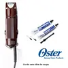 Image de Oster Golden A5 - 2 vitesses