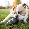 Image de Kong Extreme Noir XXL - Jouet pour Chien